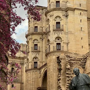 Premium - Cathedral Of , Málaga Spagna